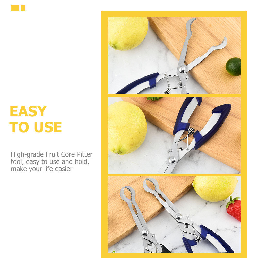 Stainless Steel Hawthorn Core  - огляд і ціна Kitchen Gadgets Usa